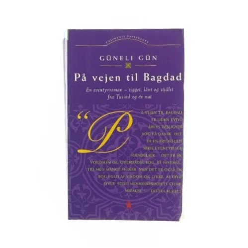 Vejen til Bagdad af Güneli Gün (bog)