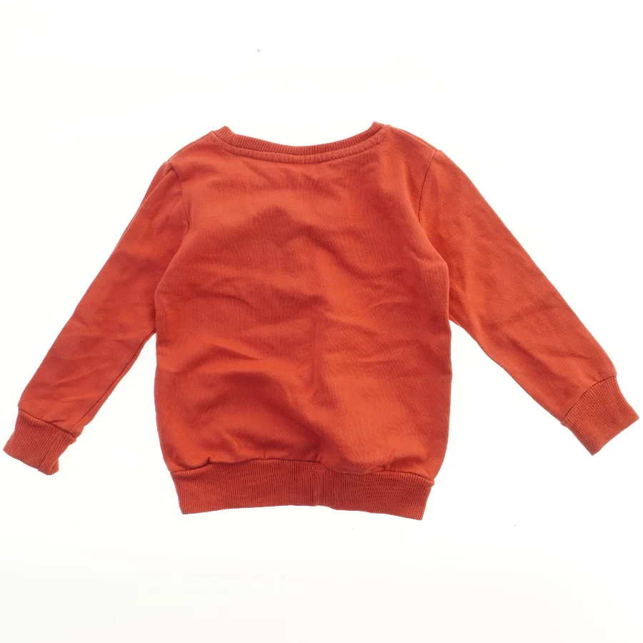 Børne sweatshirt med motiv fra Kiki&koko (str. 110)