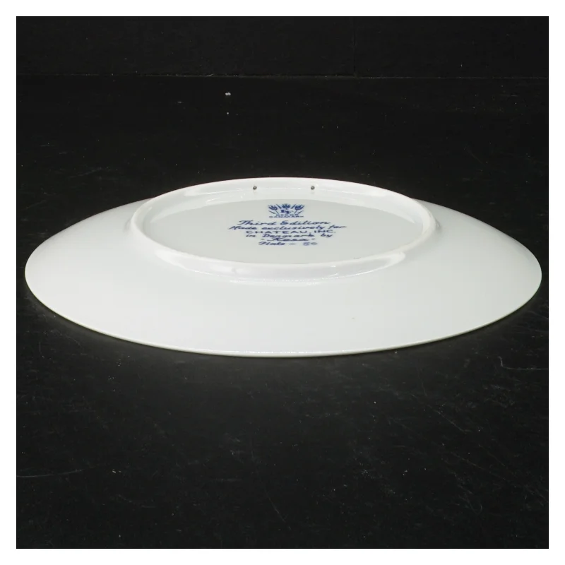 Souvenirplatte fra North Carolina (str. 19 cm)