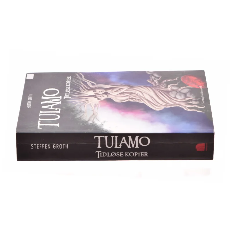 Tulamo - Tidløse kopier af Steffen Groth (Bog)