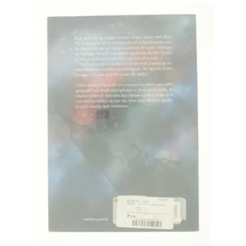 Tulamo - Tidløse kopier af Steffen Groth (Bog)