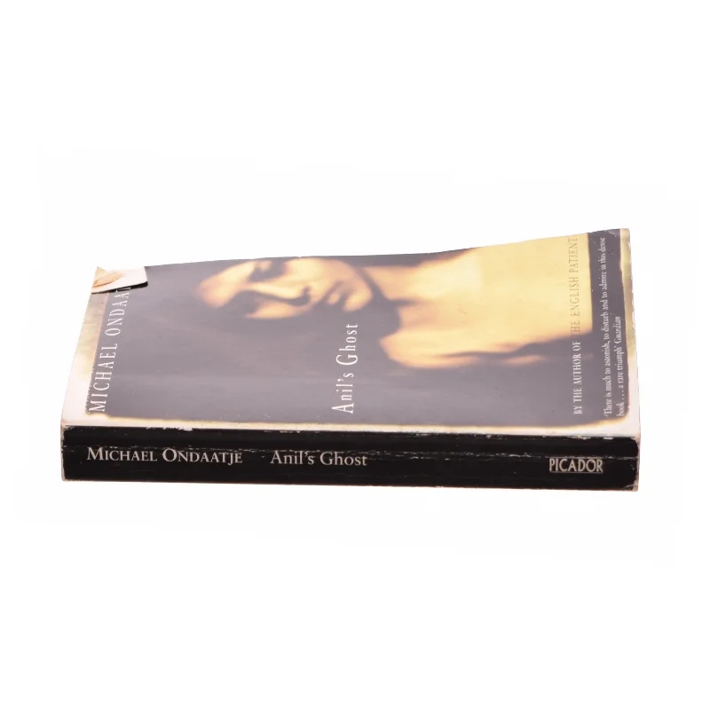Anil's Ghost af Michael Ondaatje (Bog)