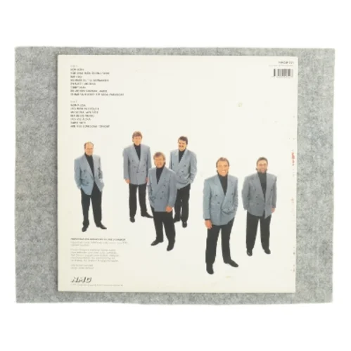 Vikingarna Vinylplade