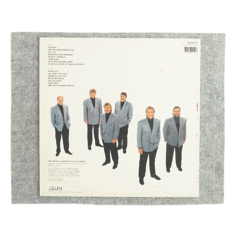 Vikingarna Vinylplade