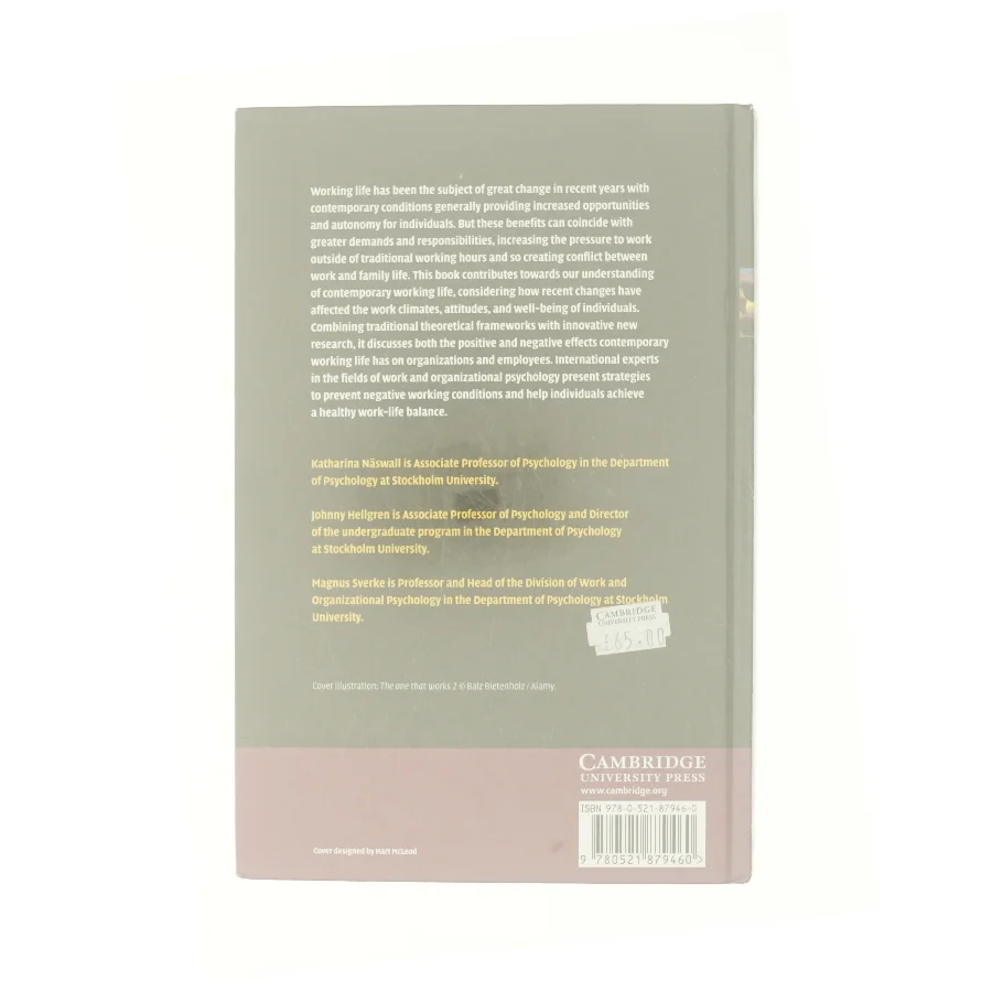 The individual in the changing working life (Bog)