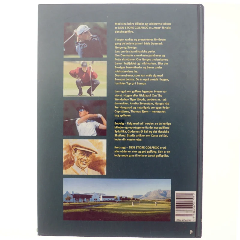 Den store golfbog (Bog)