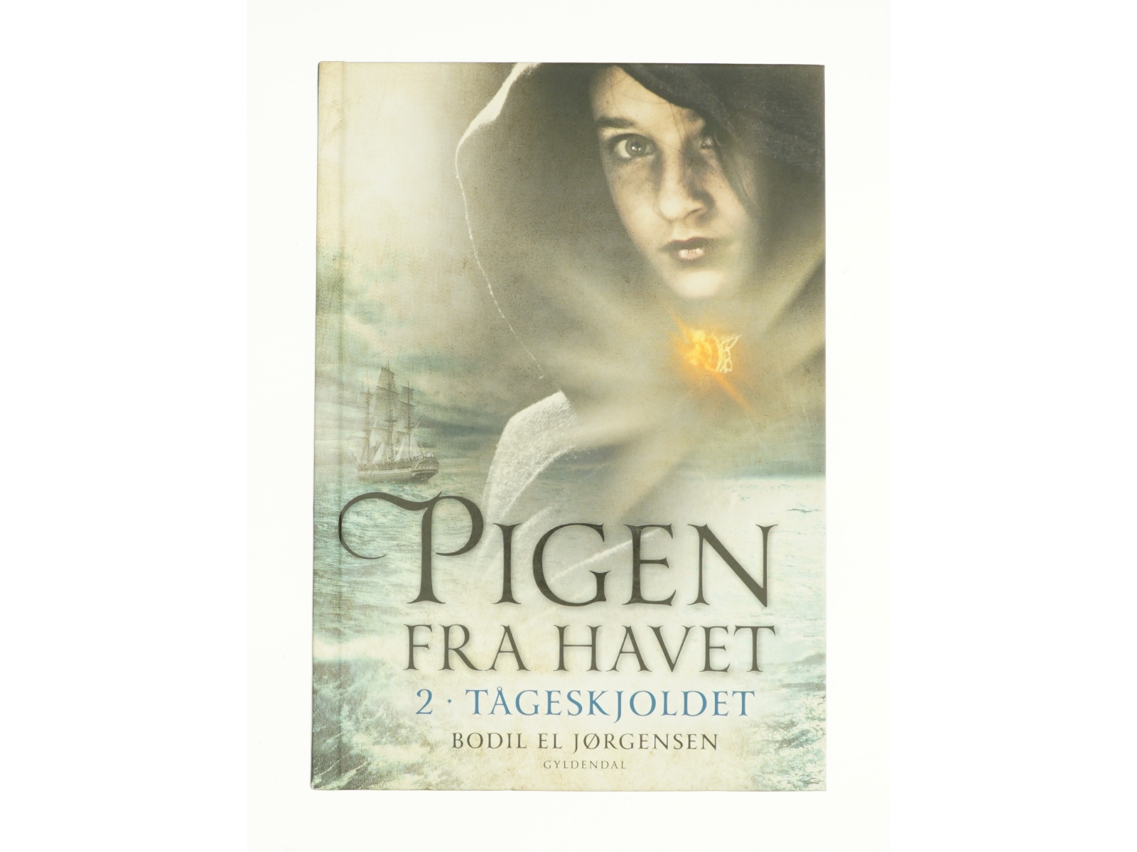 Tågeskjoldet af Bodil El Jørgensen (Bog)