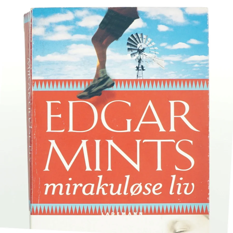 Edgar Mints mirakuløse liv af Brady Udall (Bog)