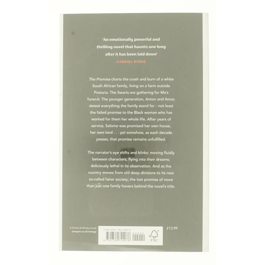 The Promise af Damon Galgut (Bog)