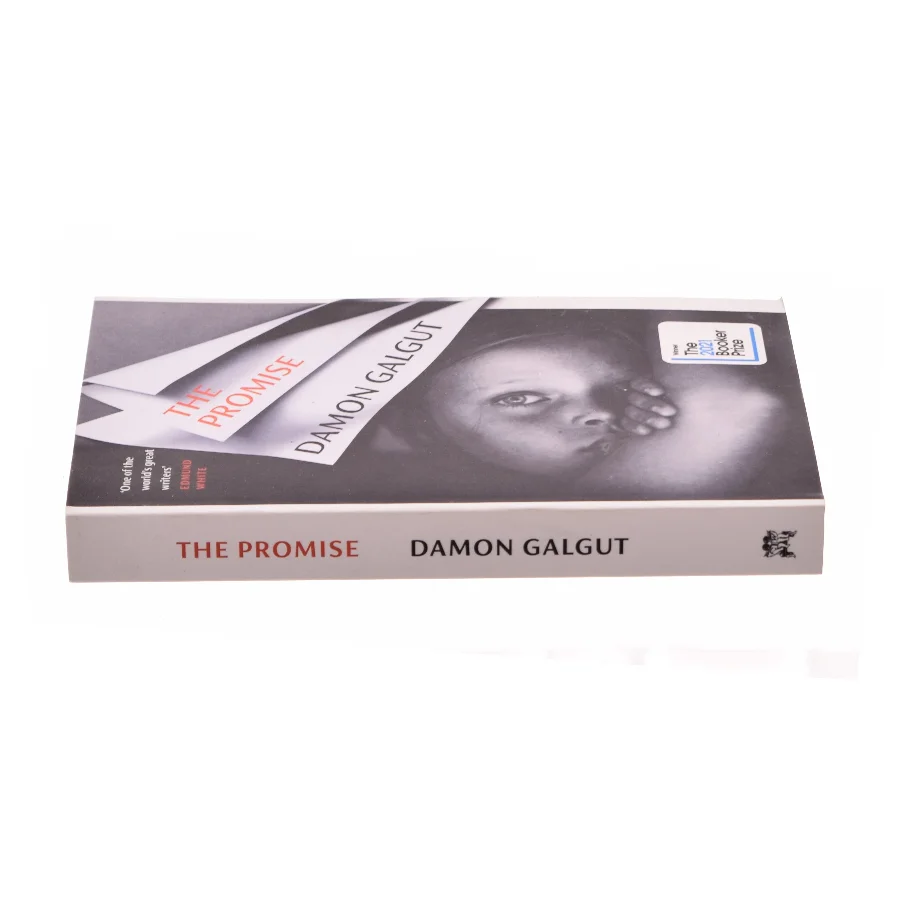 The Promise af Damon Galgut (Bog)