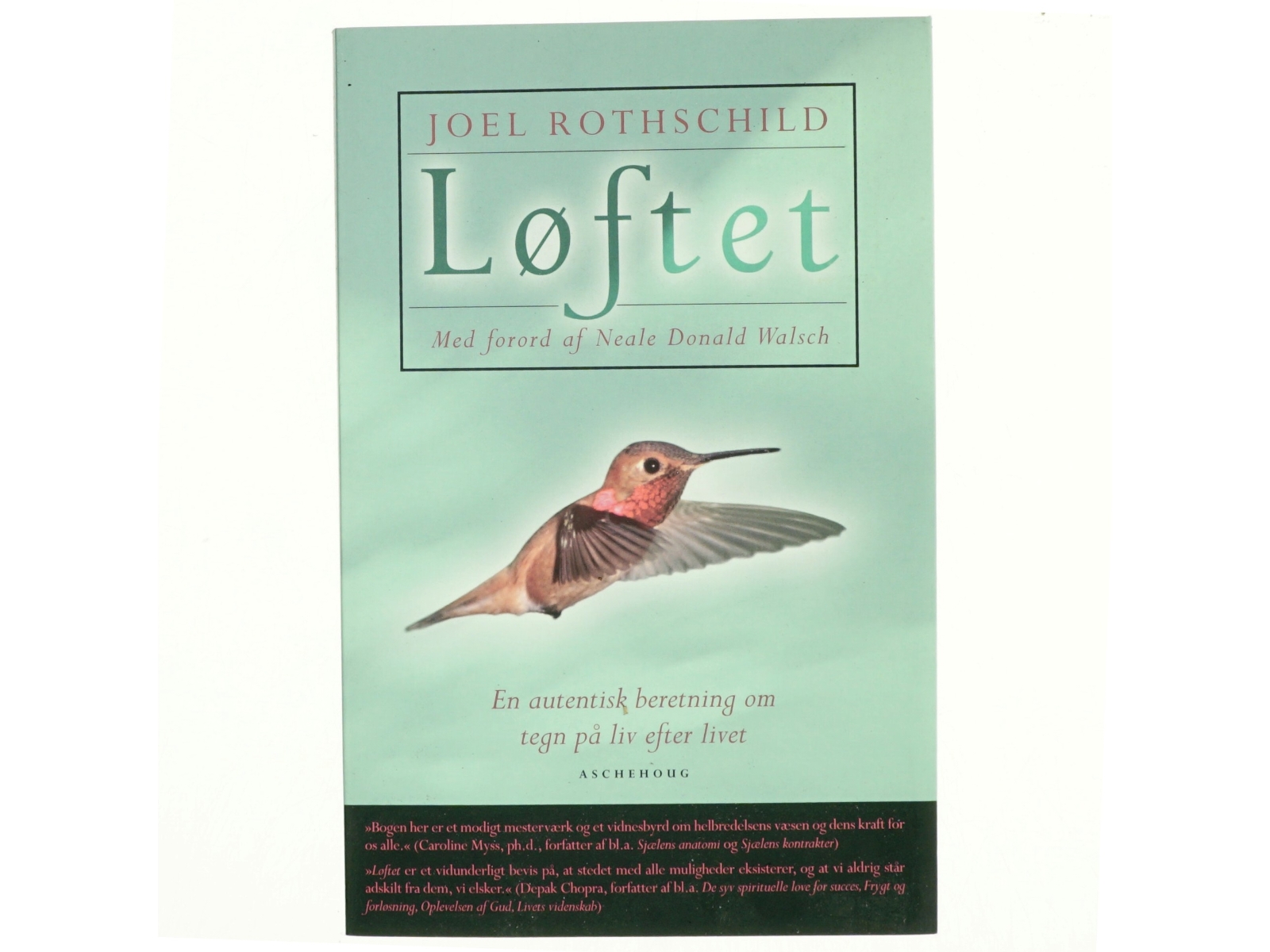 Løftet : en autentisk beretning om tegn på liv efter livet af Joel Rothschild (Bog)