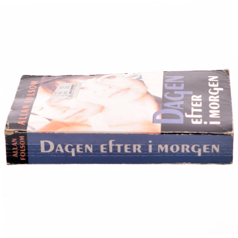 Dagen efter i morgen af Allan Folsom (Bog)