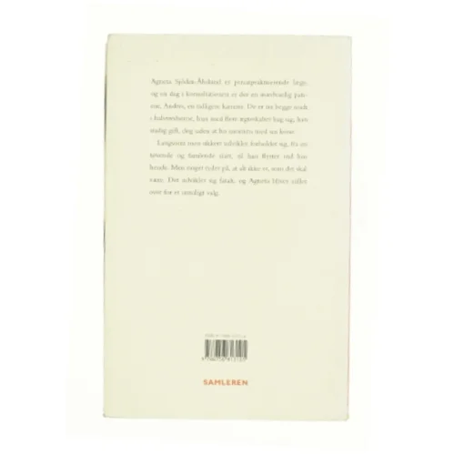 Kærlighedens grænser : roman af P. C. Jersild (Bog)