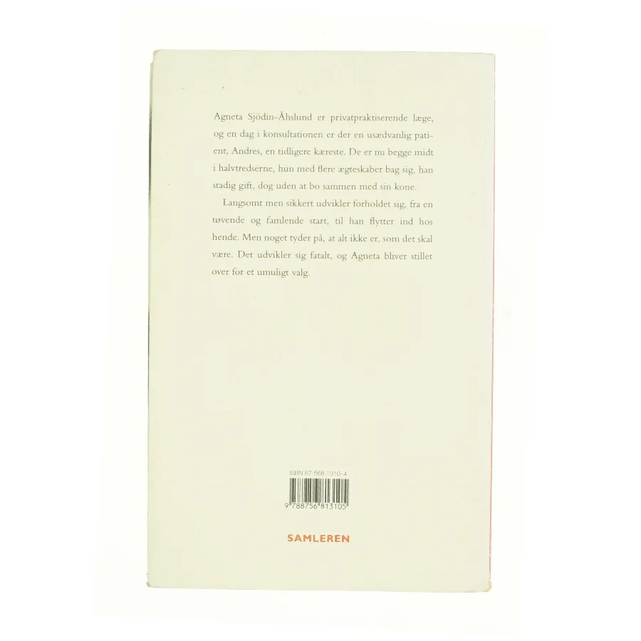 Kærlighedens grænser : roman af P. C. Jersild (Bog)