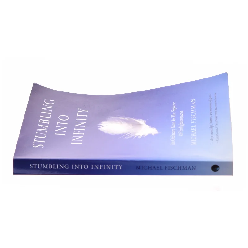 Stumbling Into Infinity af Fischman, Michael (Bog)