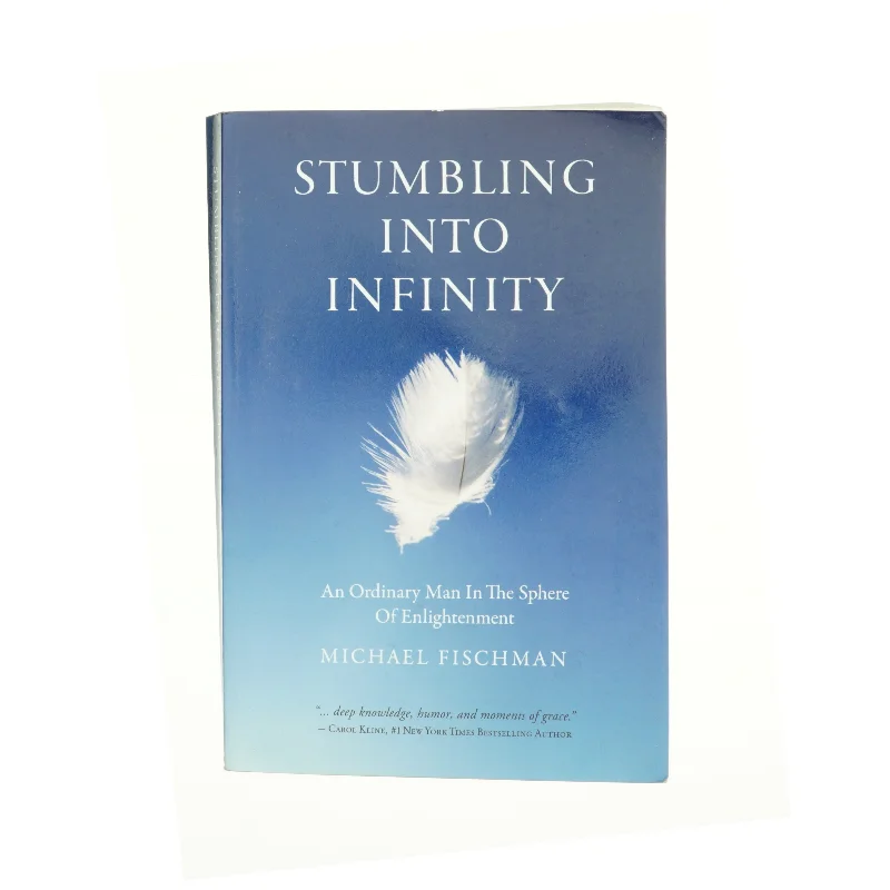 Stumbling Into Infinity af Fischman, Michael (Bog)
