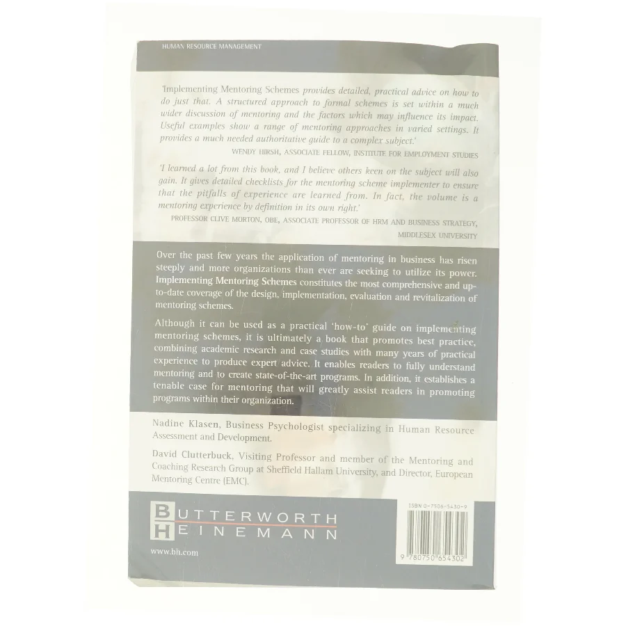 Implementing Mentoring Schemes af Nadine Klasen (Bog)