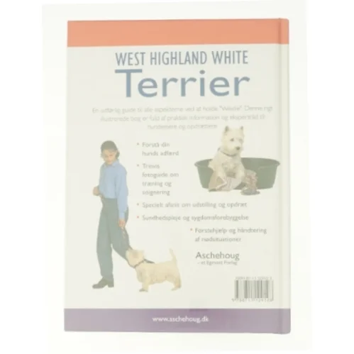 West hightland white terrier (bog)