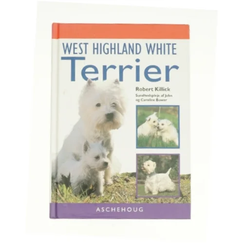 West hightland white terrier (bog)