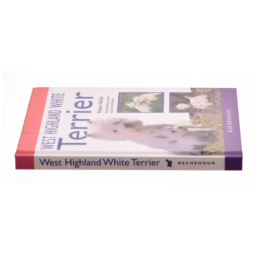 West hightland white terrier (bog)