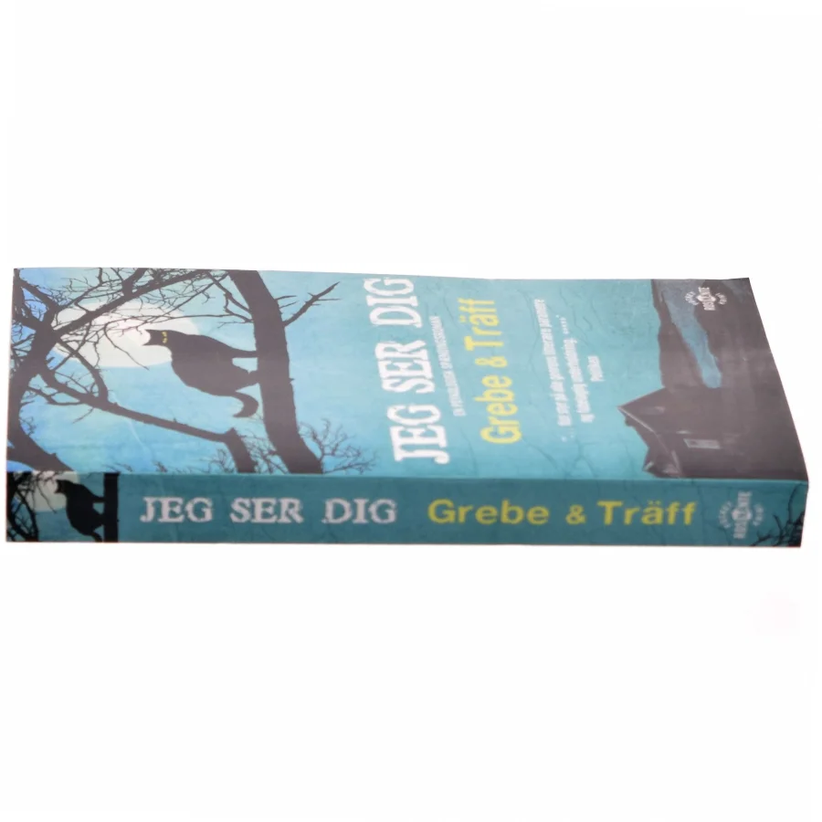 Jeg ser dig af Camilla Grebe (Bog)