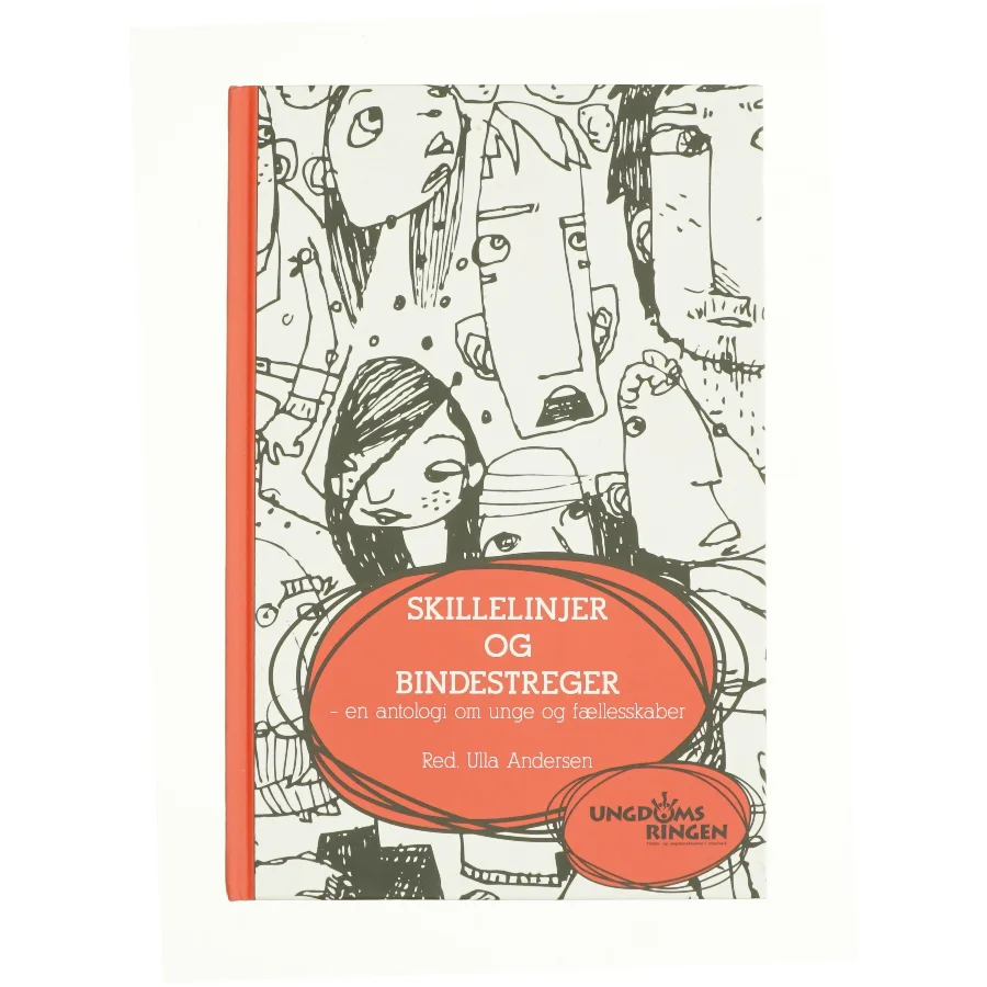 Skillelinjer og bindestreger (Bog)