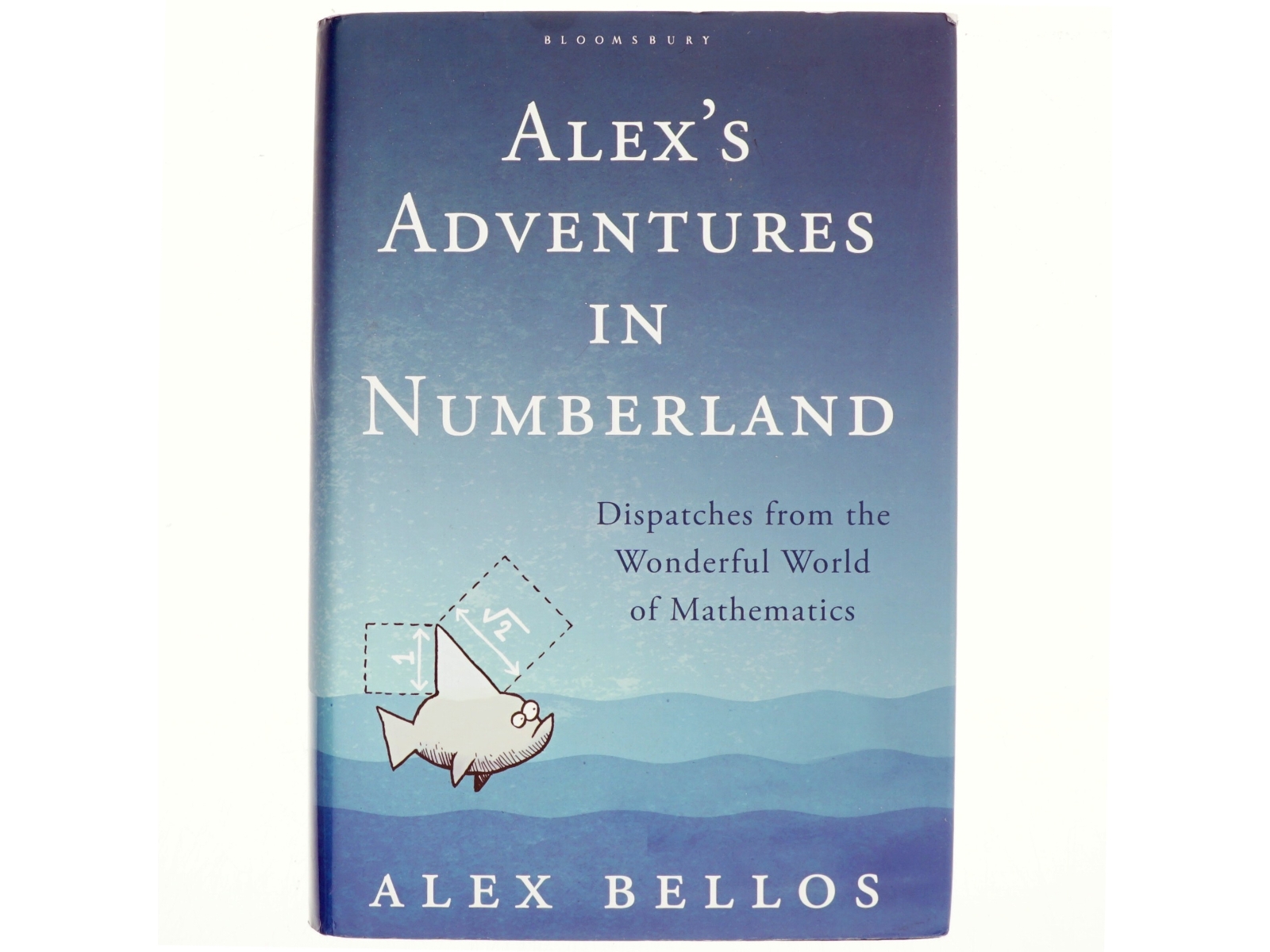 Alex's Adventures in Numberland af Alex Bellos (Bog)