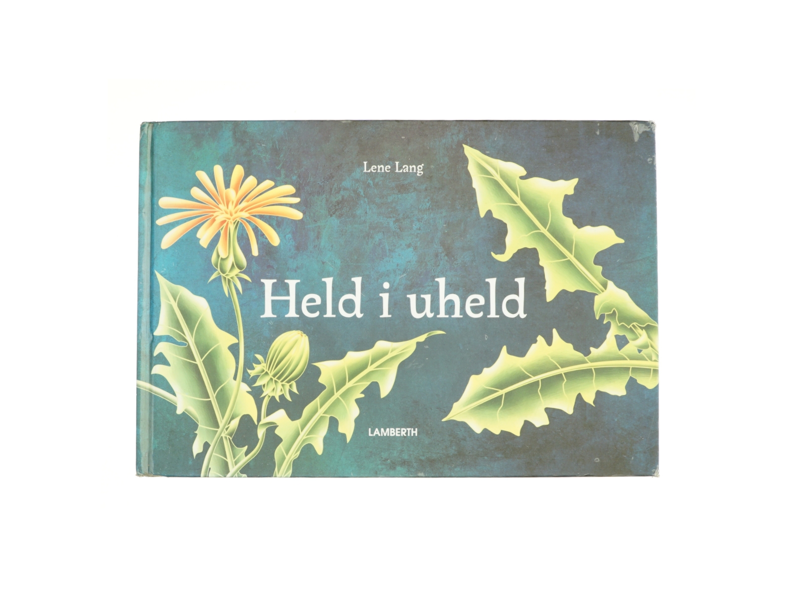 Held i uheld af Lene Lang (Bog)