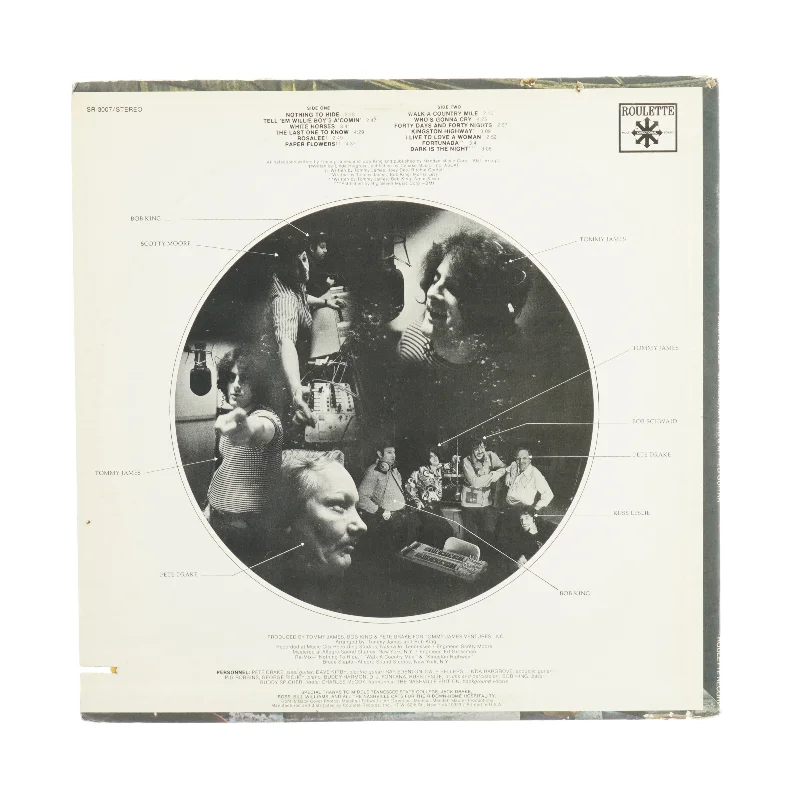 Tomy James My head, My bed & my red guitar Vinylplade