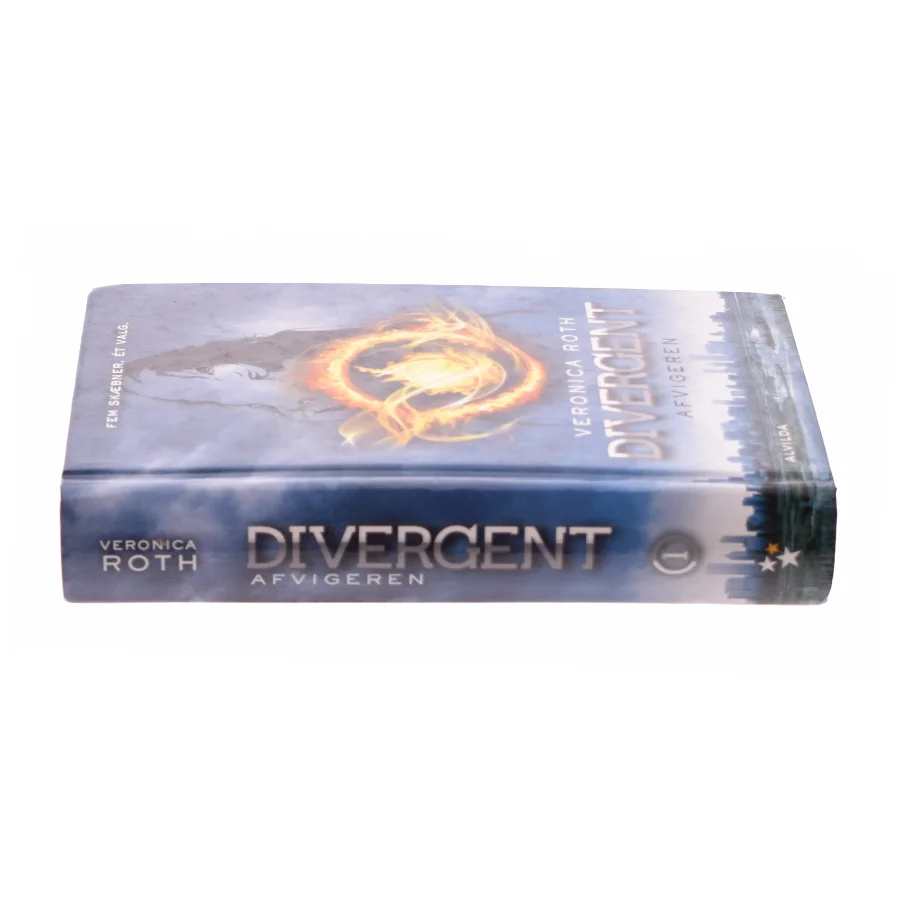 Divergent. Bind 1 af Veronica Roth (Bog)