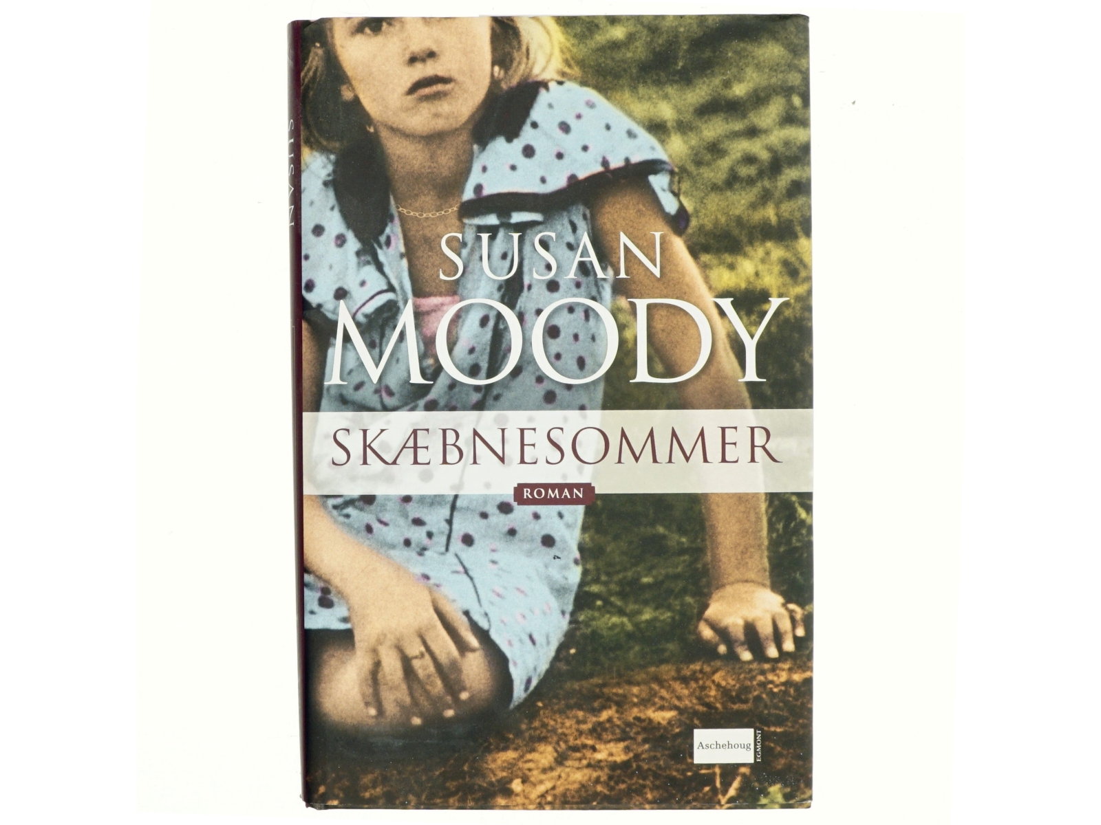 Skæbnesommer af Susan Moody (Bog)
