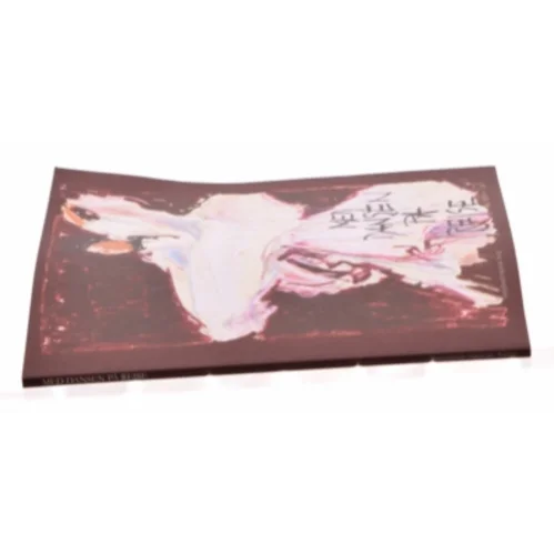 Med dansen på rejse af Else Mathiassen (Bog)