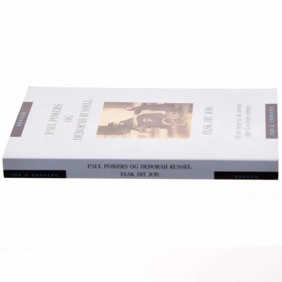 Elsk dit job : få det bedre på dit arbejde eller få et bedre arbejde (Bog)