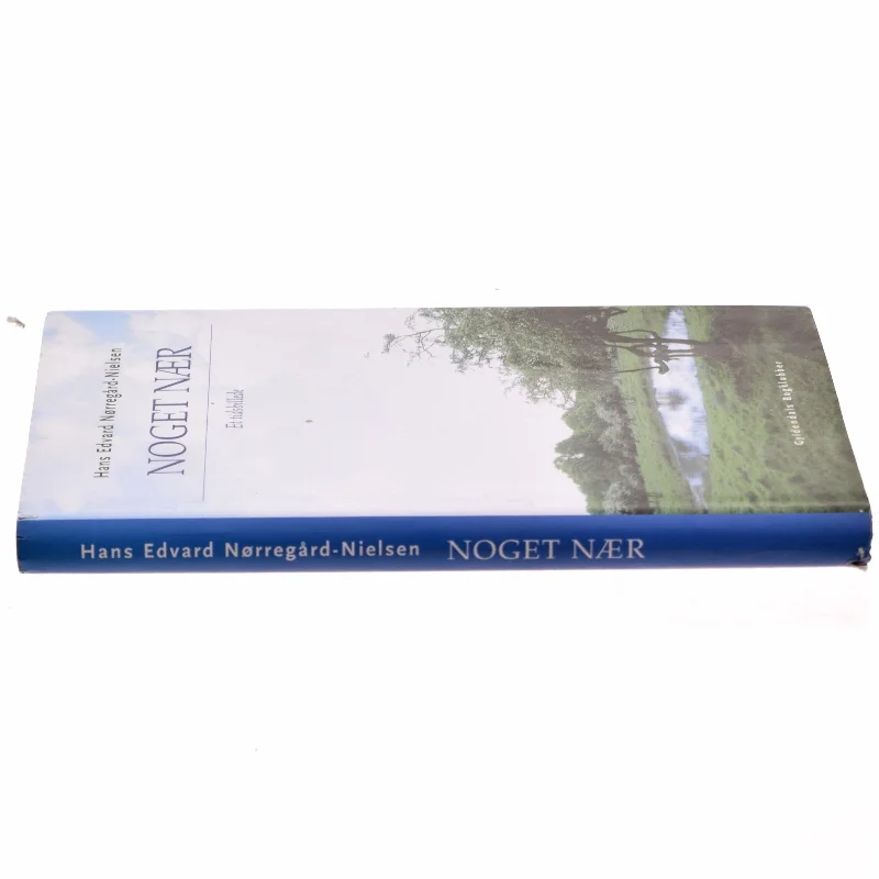 Noget nær : et tidsbillede af Hans Edvard Nørregård-Nielsen (Bog)