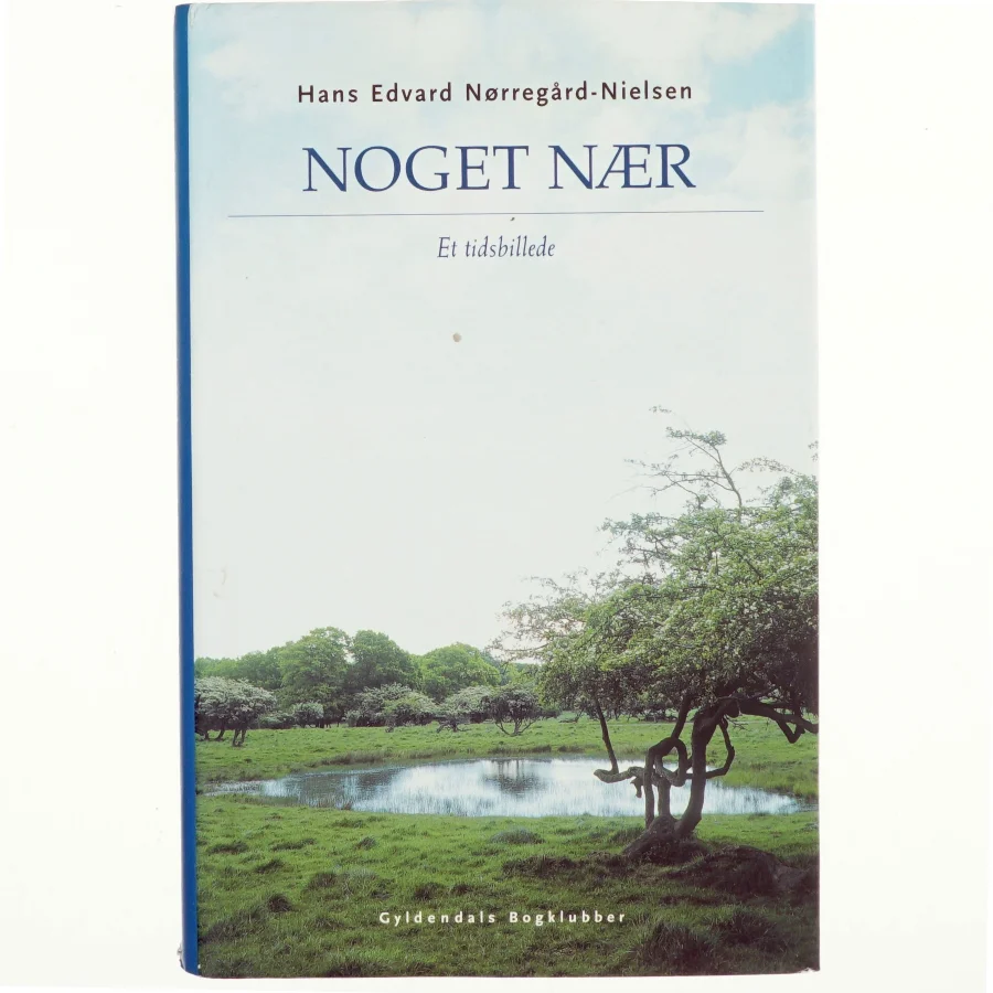 Noget nær : et tidsbillede af Hans Edvard Nørregård-Nielsen (Bog)