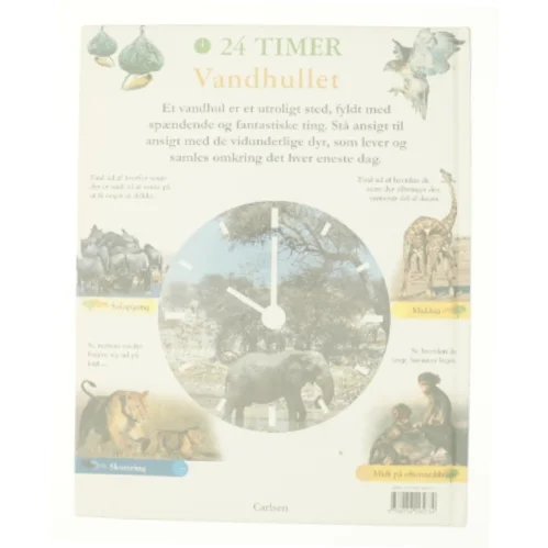 Vandhullet af Zahavit Shalev (Bog)