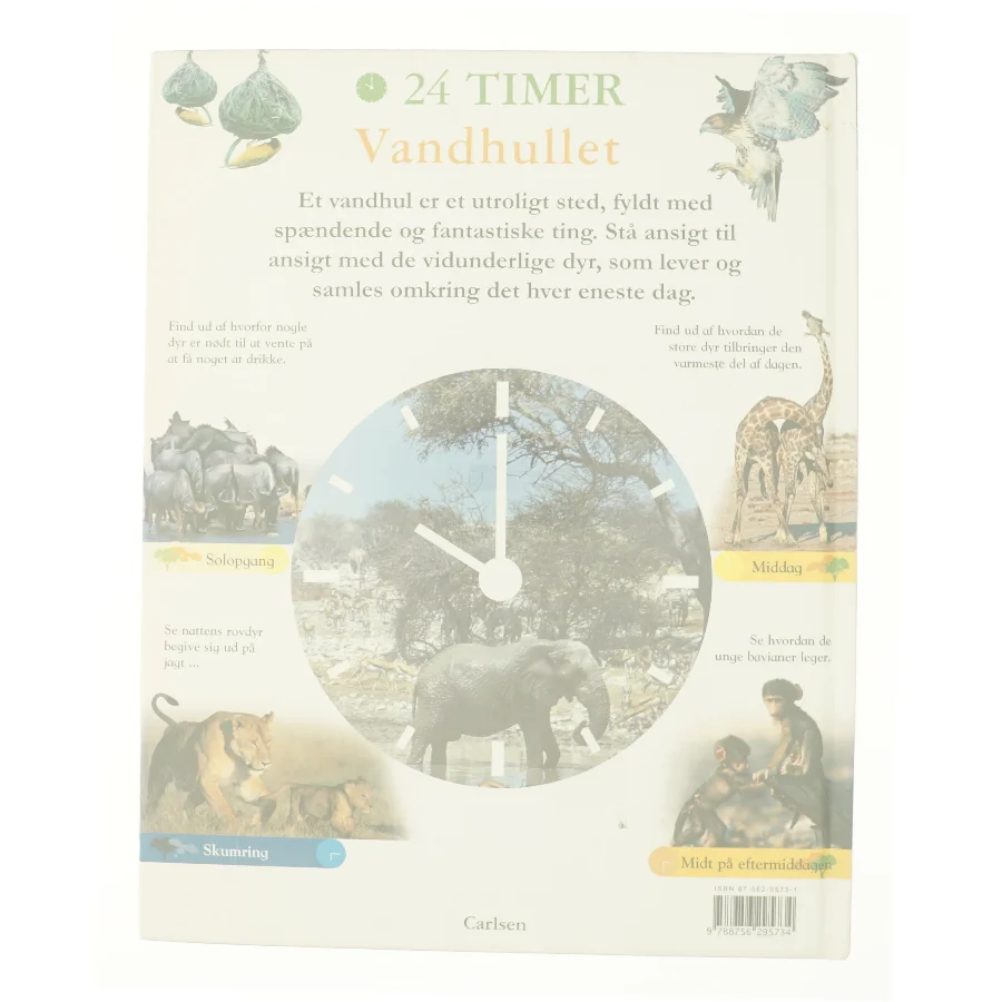 Vandhullet af Zahavit Shalev (Bog)