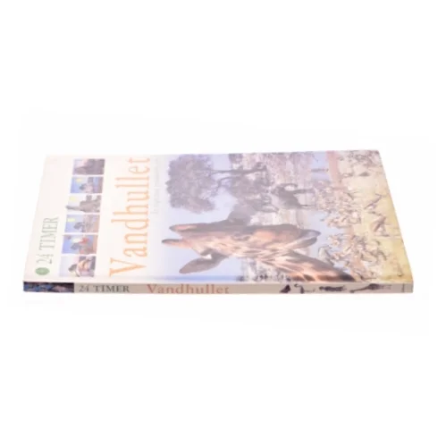 Vandhullet af Zahavit Shalev (Bog)