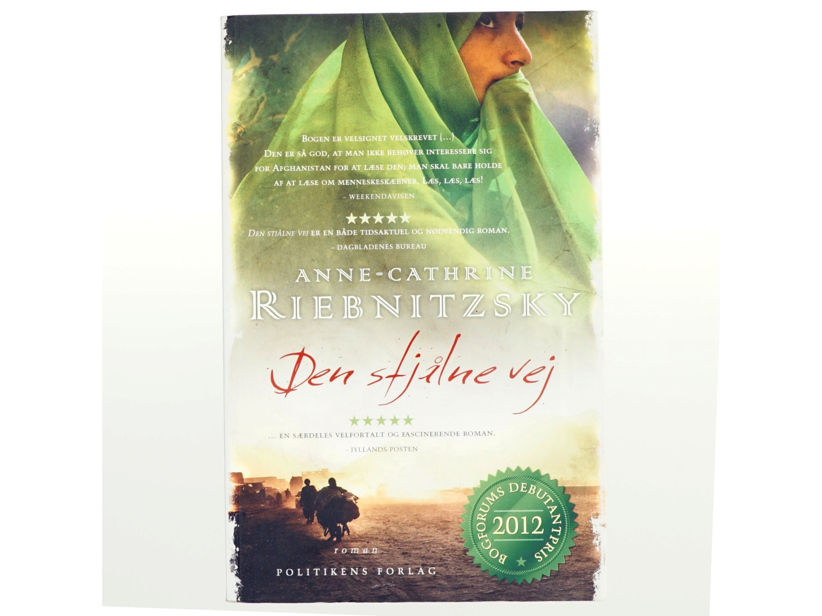Den stjålne vej af Anne-Cathrine Riebnitzsky (Bog)