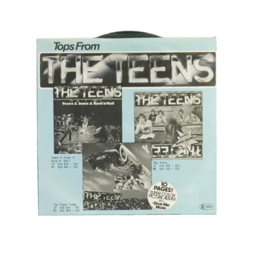 The teens Vinylplade