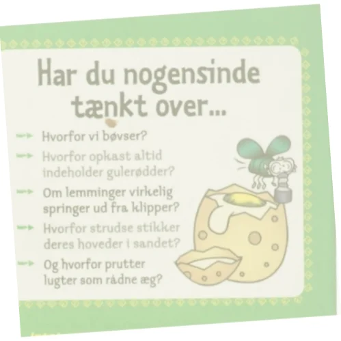 Hvorfor lugter prutter (Bog)