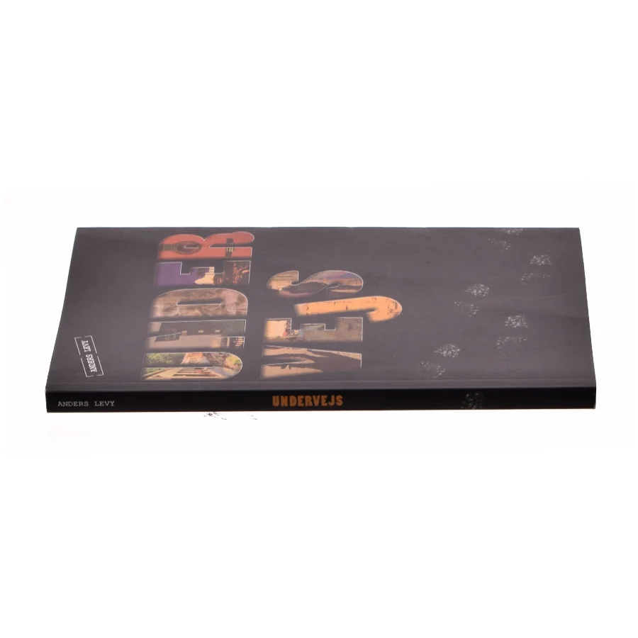 Undervejs af Anders Levy (Bog)