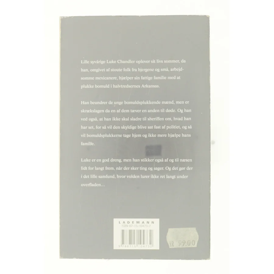 Et malet hus af John Grisham 