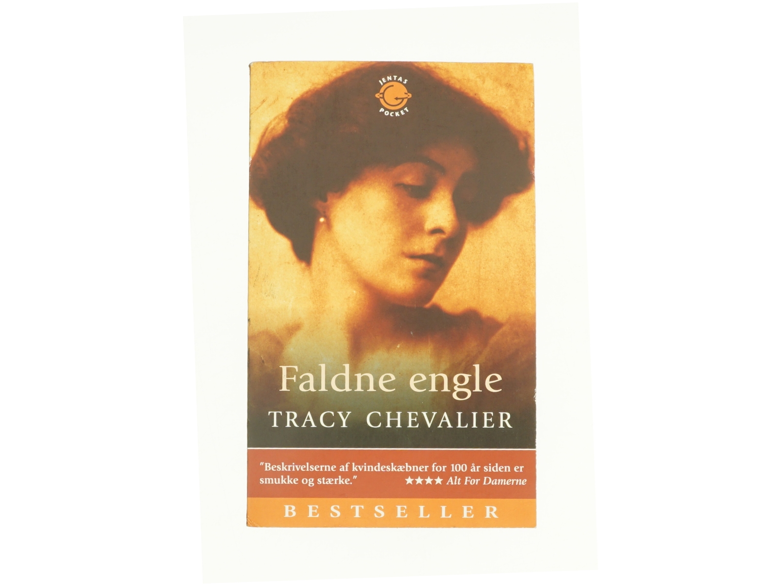 Faldne engle af Tracy Chevalier (Bog)