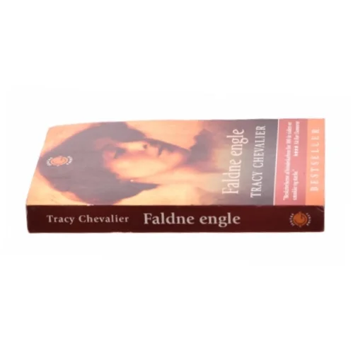 Faldne engle af Tracy Chevalier (Bog)