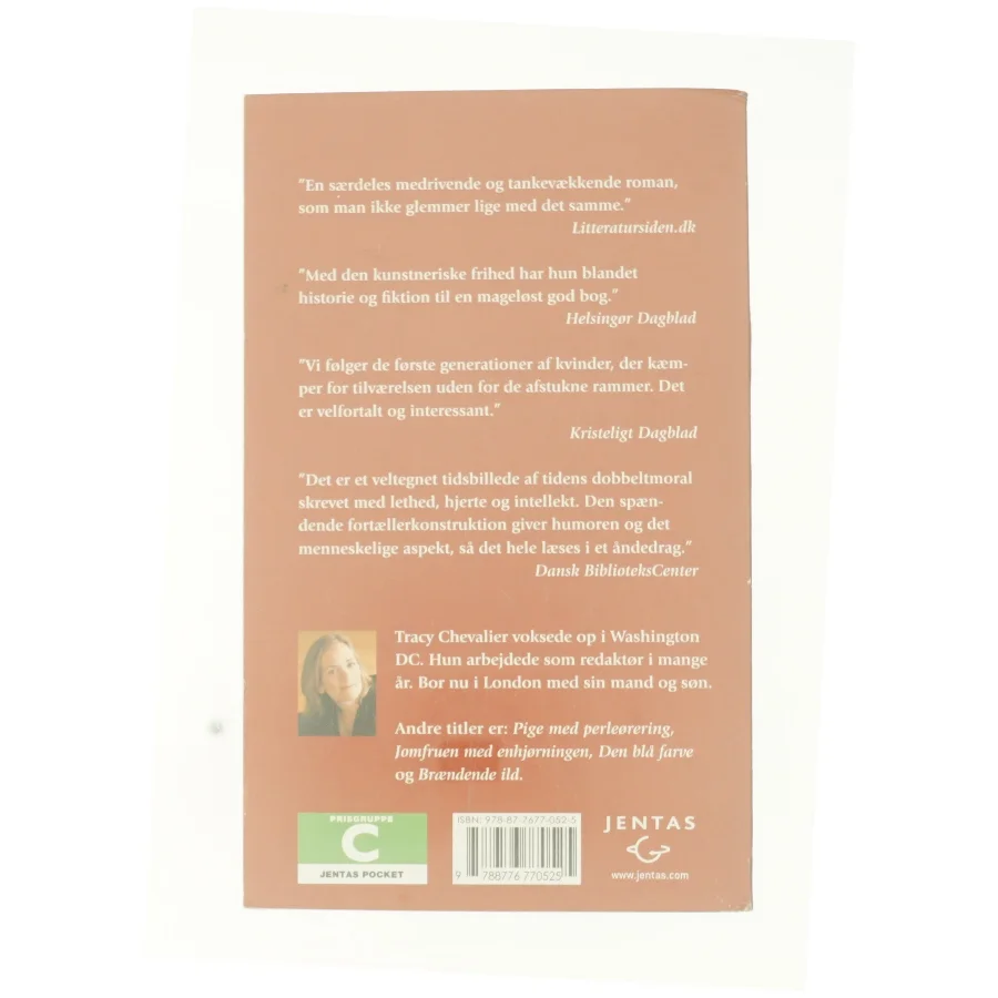 Faldne engle af Tracy Chevalier (Bog)