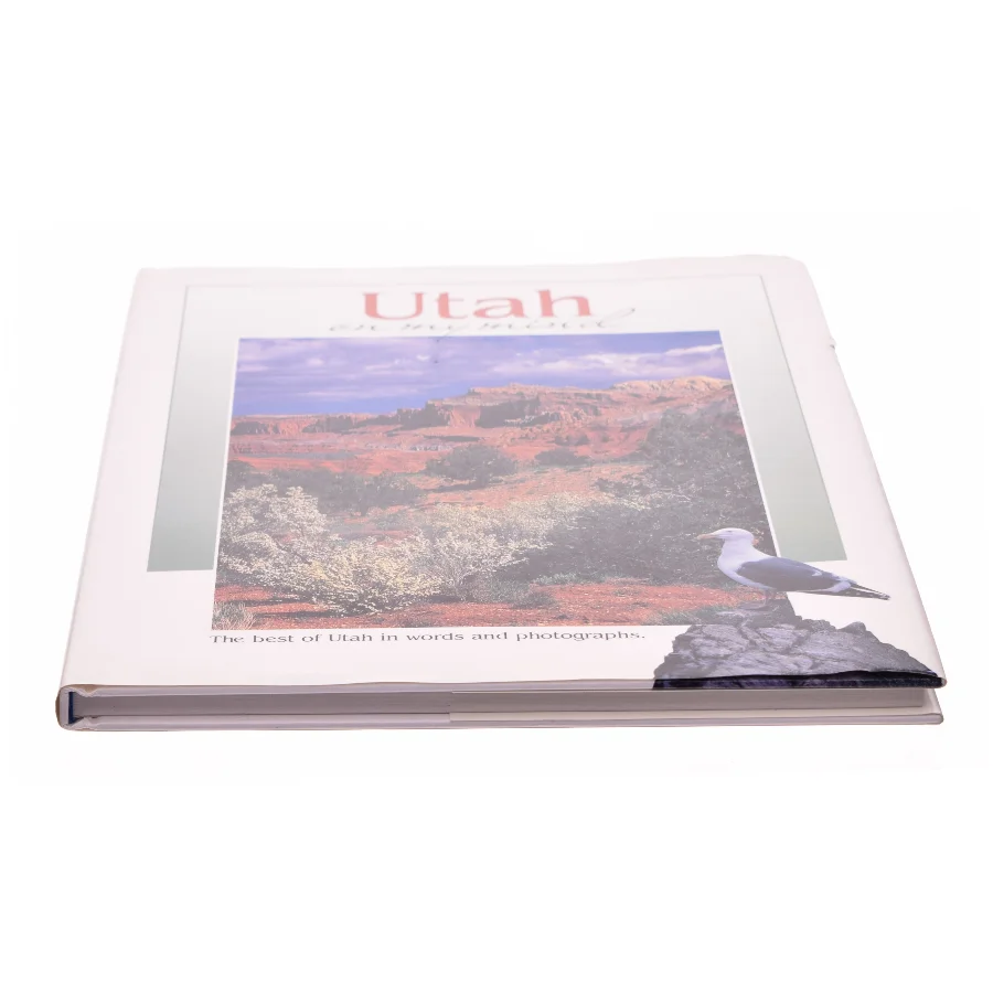 Utah on My Mind by , Insider's Guide Staff, Falcon Press Staff Collective Staff af Mont.) Falcon Publishing (Helena (Bog)