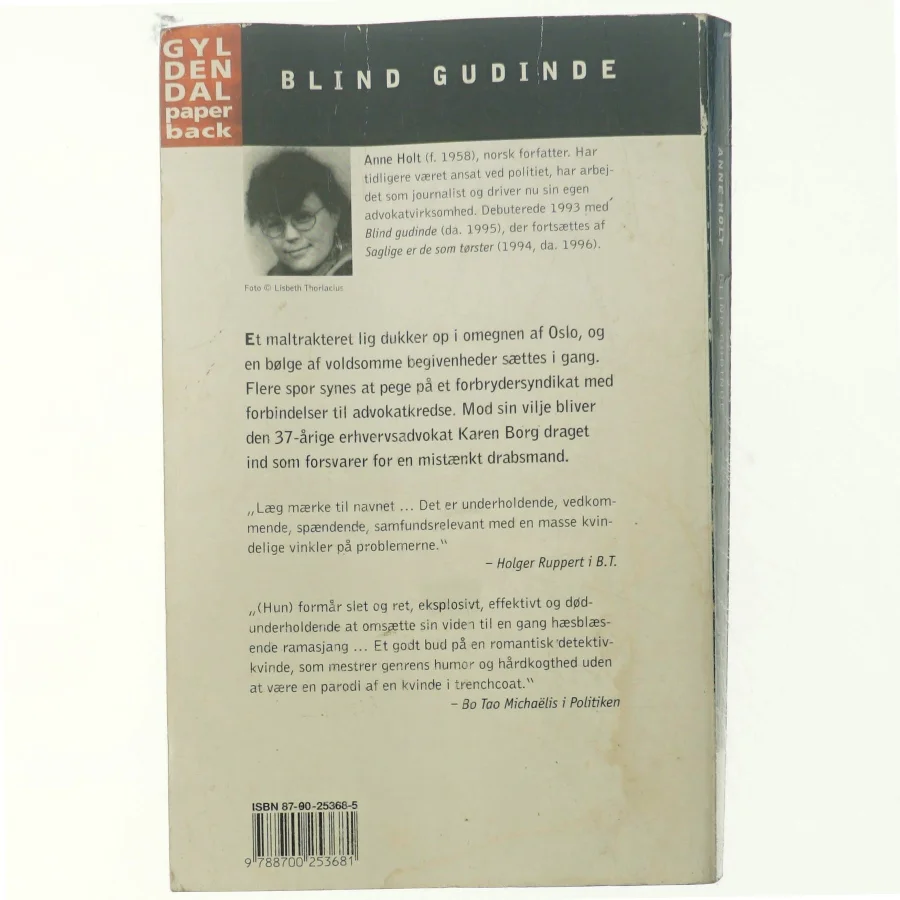 Blind gudinde af Anne Holt 