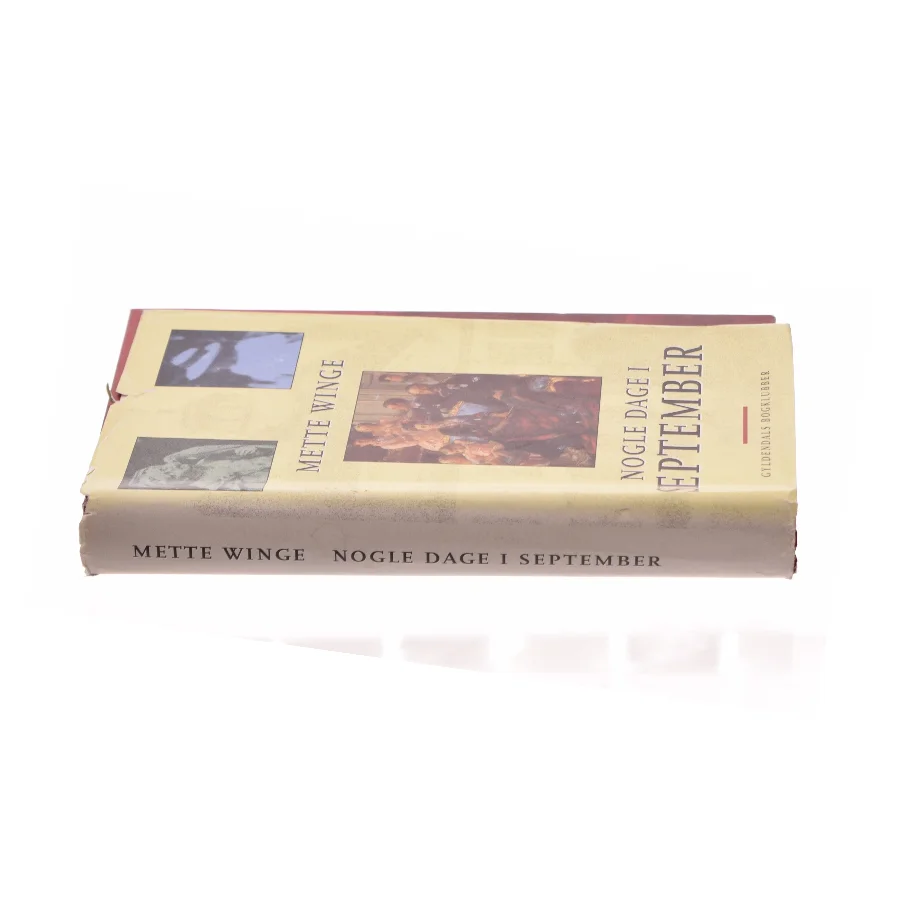 Nogle dage i september af Mette Winge