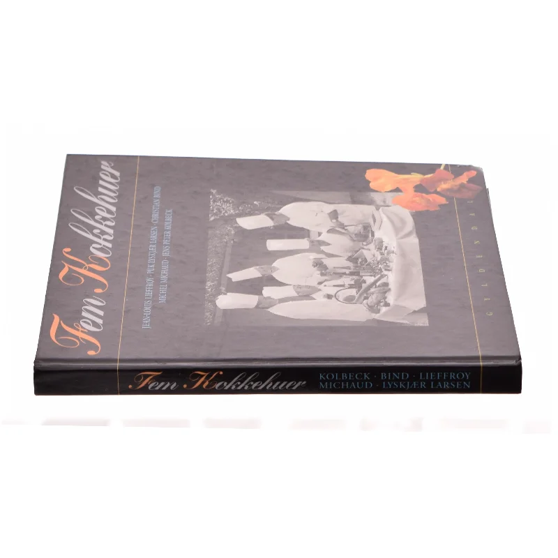 Skateguide Europe af Rita Aßmuth (Bog)